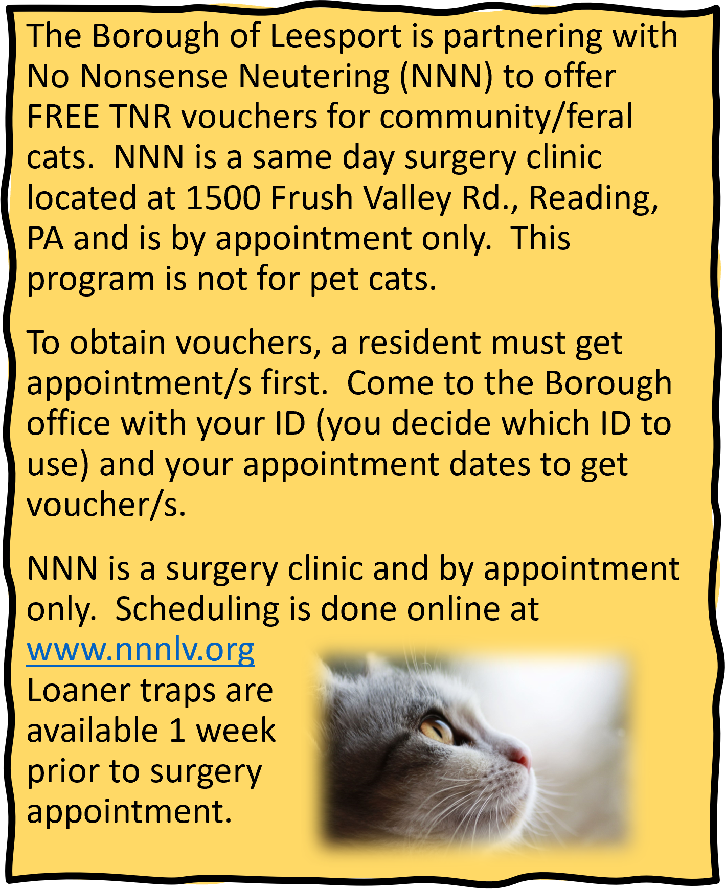 Cat_Info